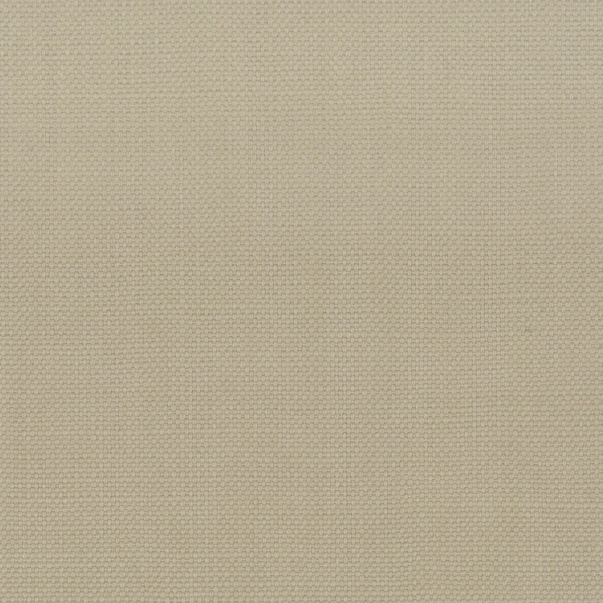 Eade's STAN-24-sample MUSHROOM