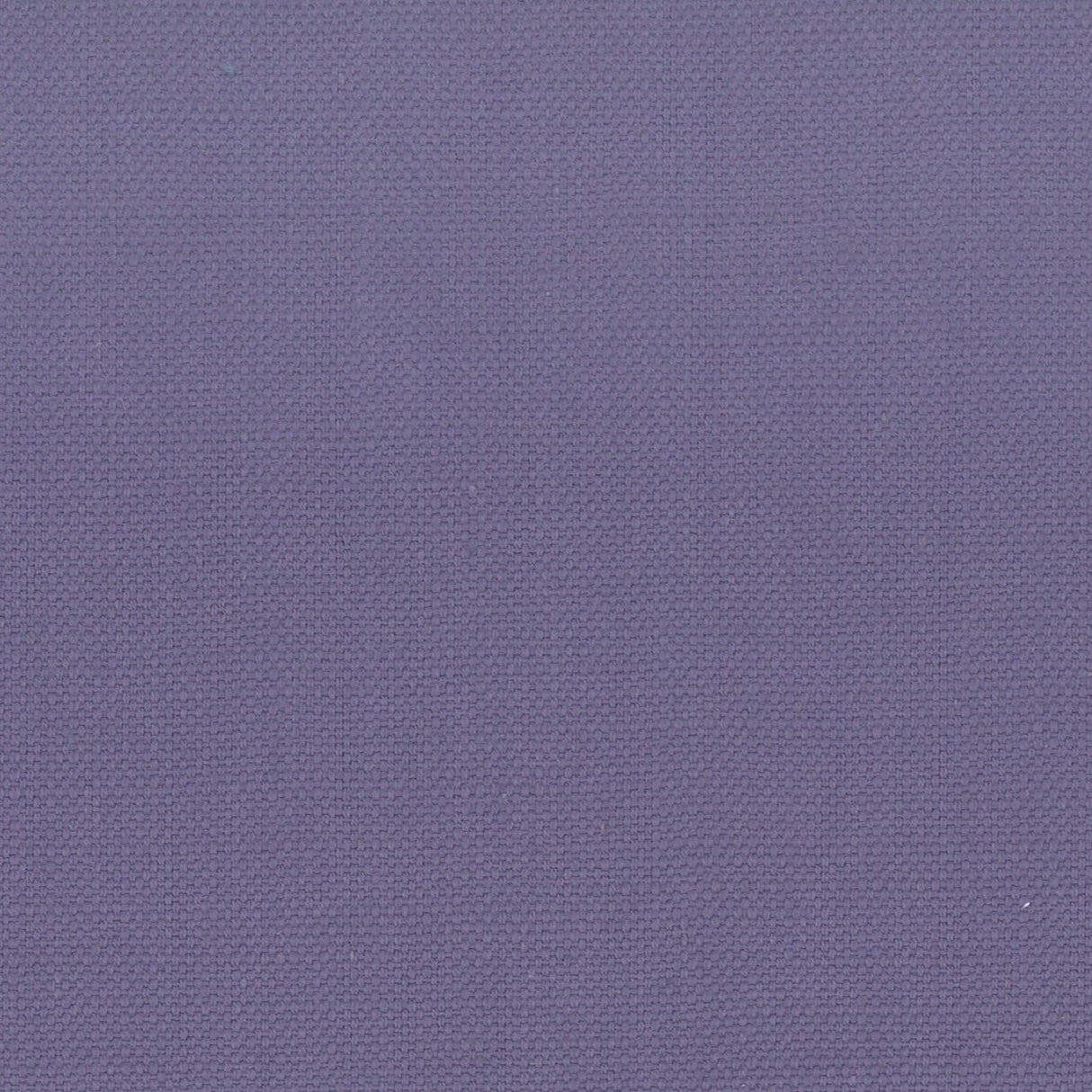 Eade's STAN-25-sample ORCHID