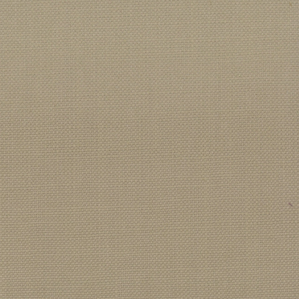 Eade's STAN-46-sample DRIFTWOOD