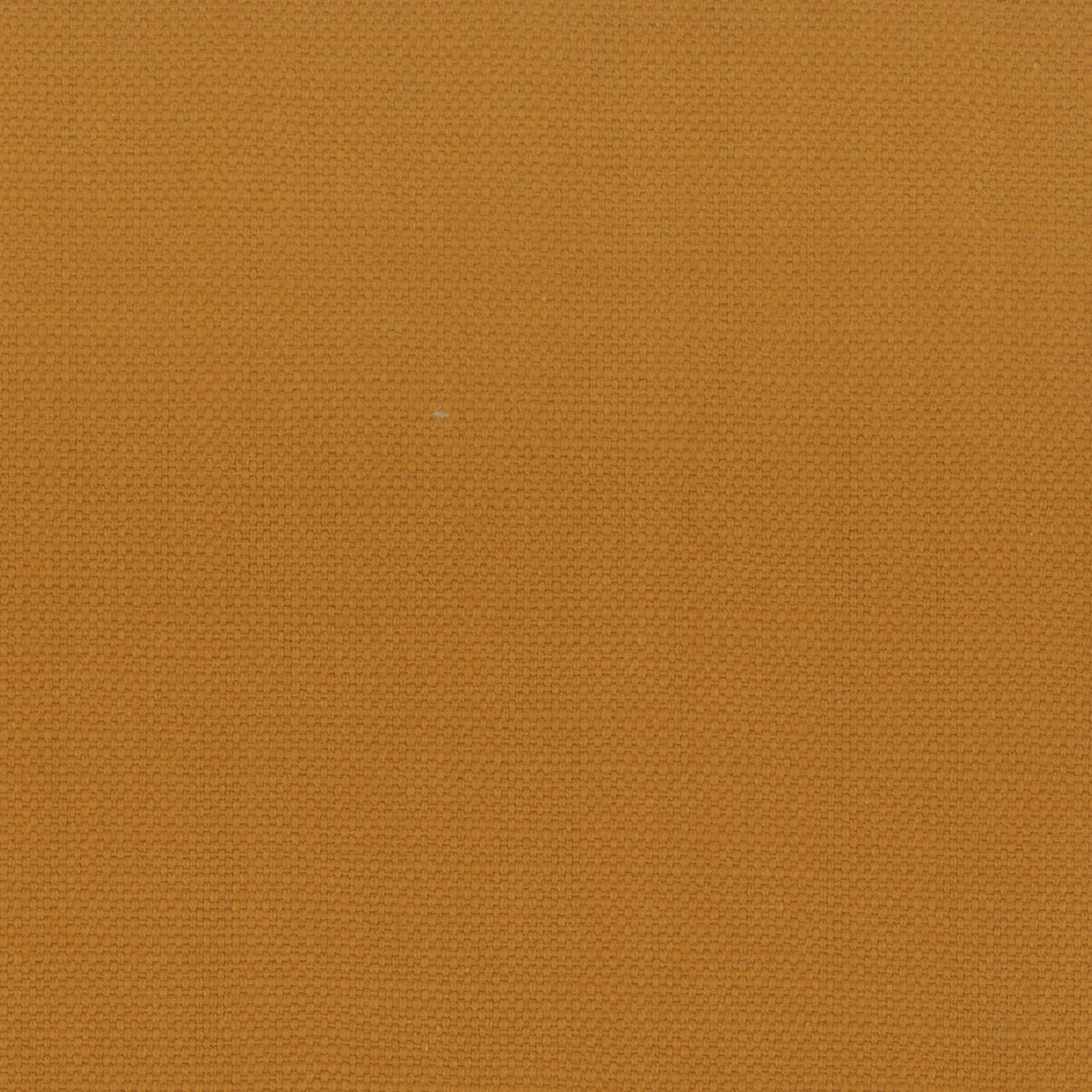 Eade's STAN-49-sample GINGER