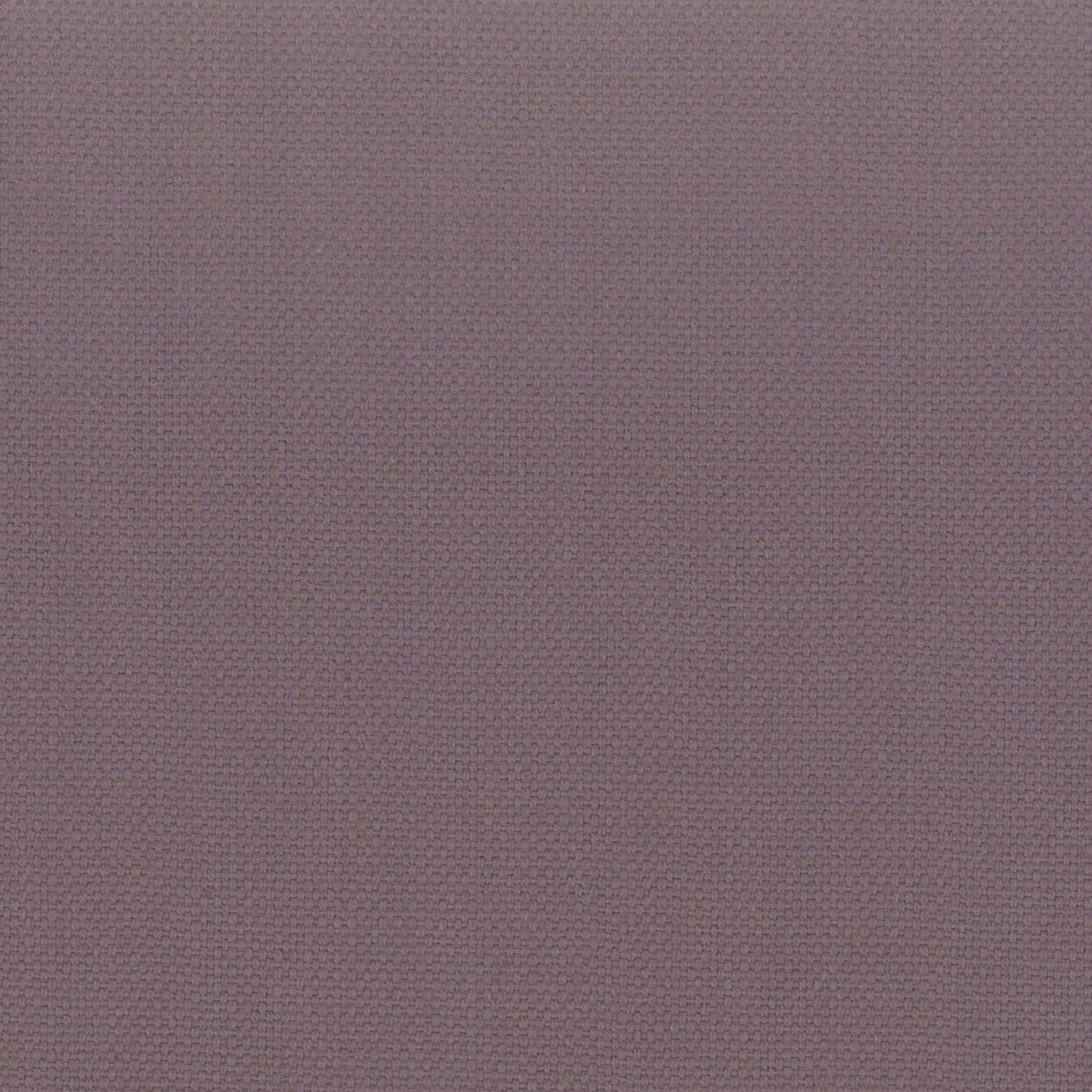 Eade's STAN-51-sample FOXGLOVE