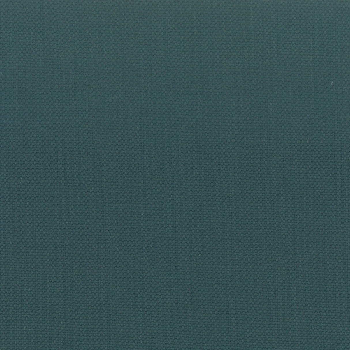 Eade's STAN-8-sample JUNGLE