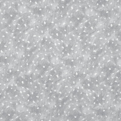 KRAVET BASICS STARRY SKY.11.0 STARRY SKY DOVE Fabric - Eade's Wallpaper