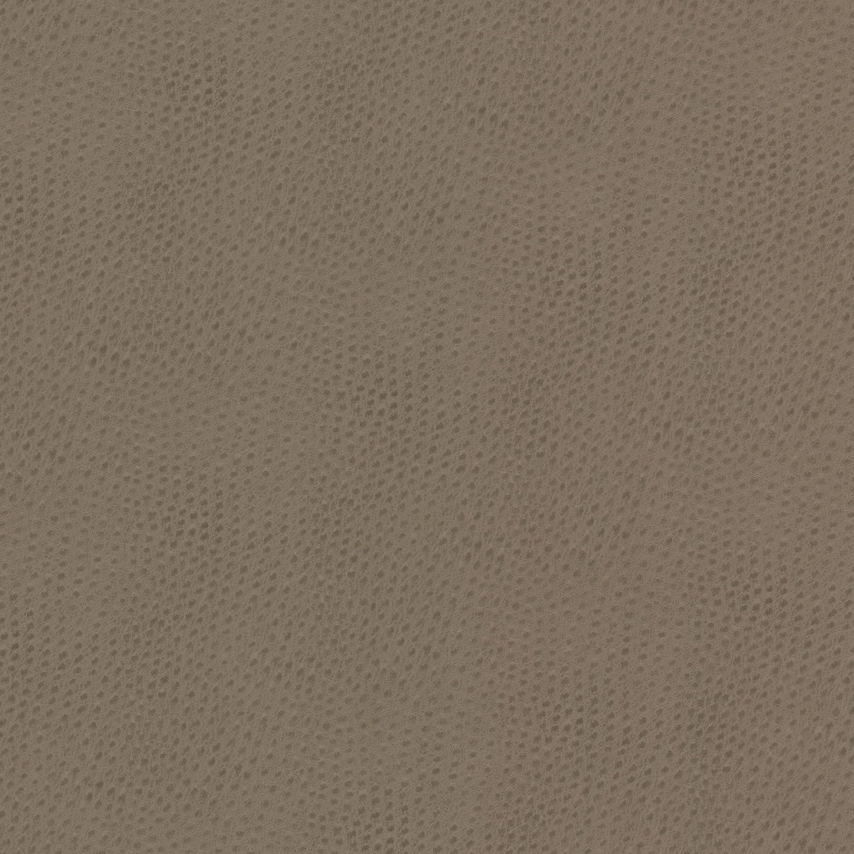 Eade's STEE-1-sample PUTTY