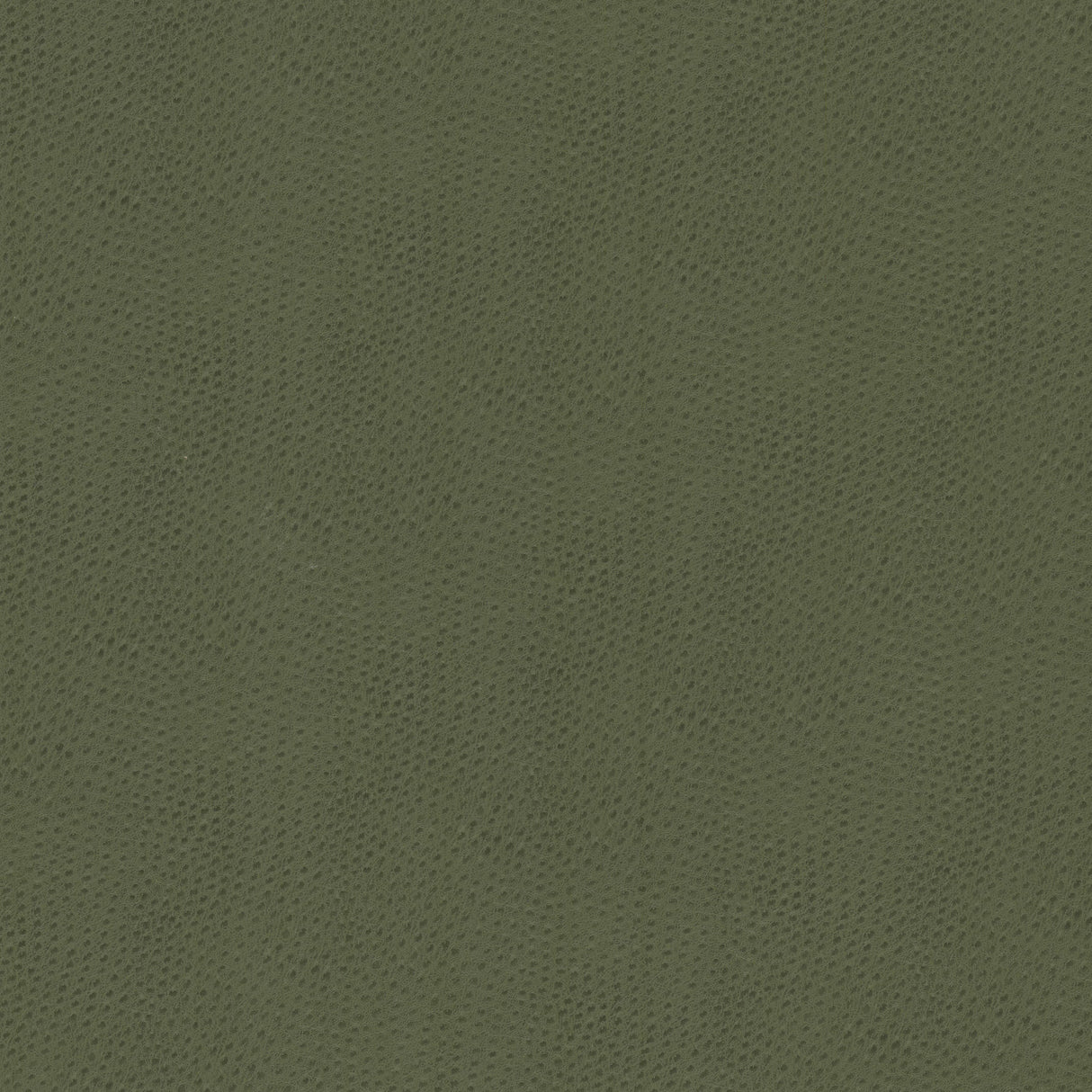 Eade's STEE-2-sample DILL