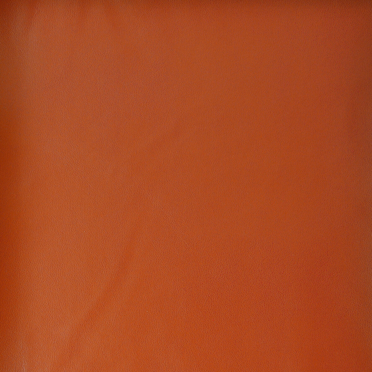 KRAVET DESIGN STEREO.12.0 KRAVET DESIGN STEREO-12 Fabric - Eade's Wallpaper