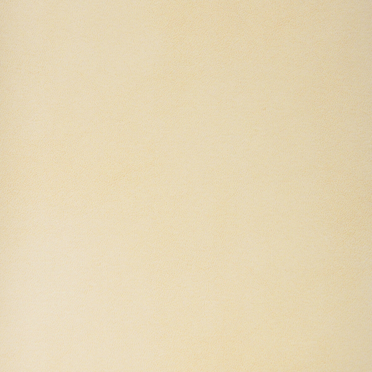 KRAVET DESIGN STEREO.16.0 KRAVET DESIGN STEREO-16 Fabric - Eade's Wallpaper