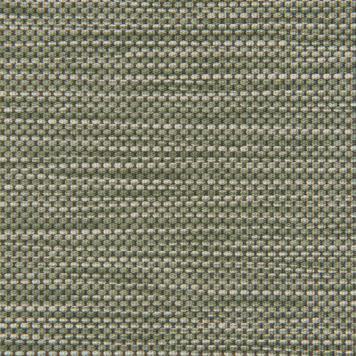 KRAVET CONTRACT STITCH.3.0 STITCH CACTUS Fabric - EXTREME PERFORMANCE II