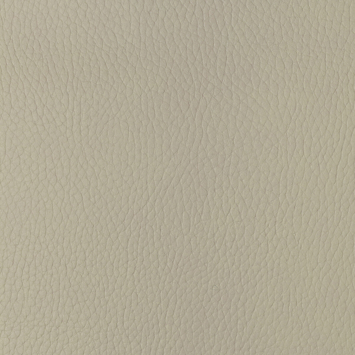 KRAVET DESIGN SUGARMAPLE.1.0 KRAVET DESIGN SUGARMAPLE-1 Fabric - Eade's Wallpaper