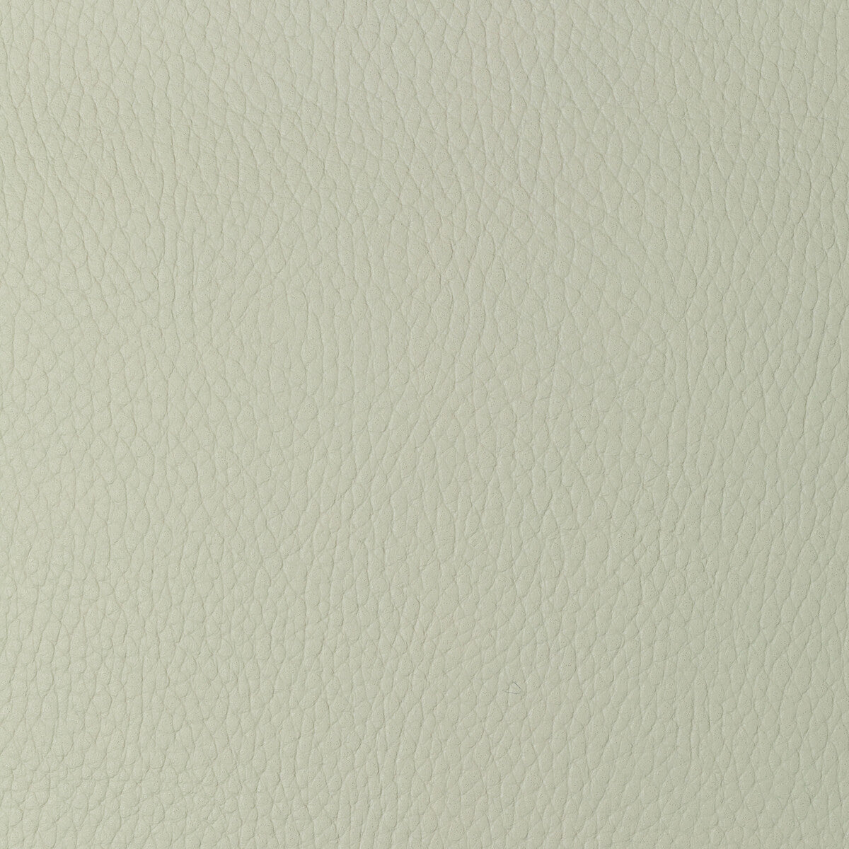 KRAVET DESIGN SUGARMAPLE.101.0 KRAVET DESIGN SUGARMAPLE-101 Fabric - Eade's Wallpaper