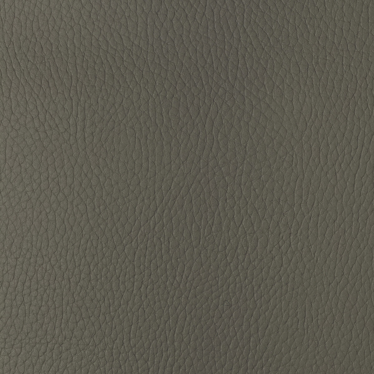 KRAVET DESIGN SUGARMAPLE.11.0 KRAVET DESIGN SUGARMAPLE-11 Fabric - Eade's Wallpaper