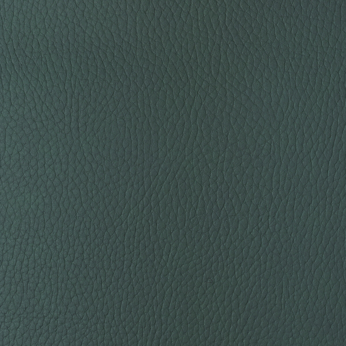 KRAVET DESIGN SUGARMAPLE.35.0 KRAVET DESIGN SUGARMAPLE-35 Fabric - Eade's Wallpaper