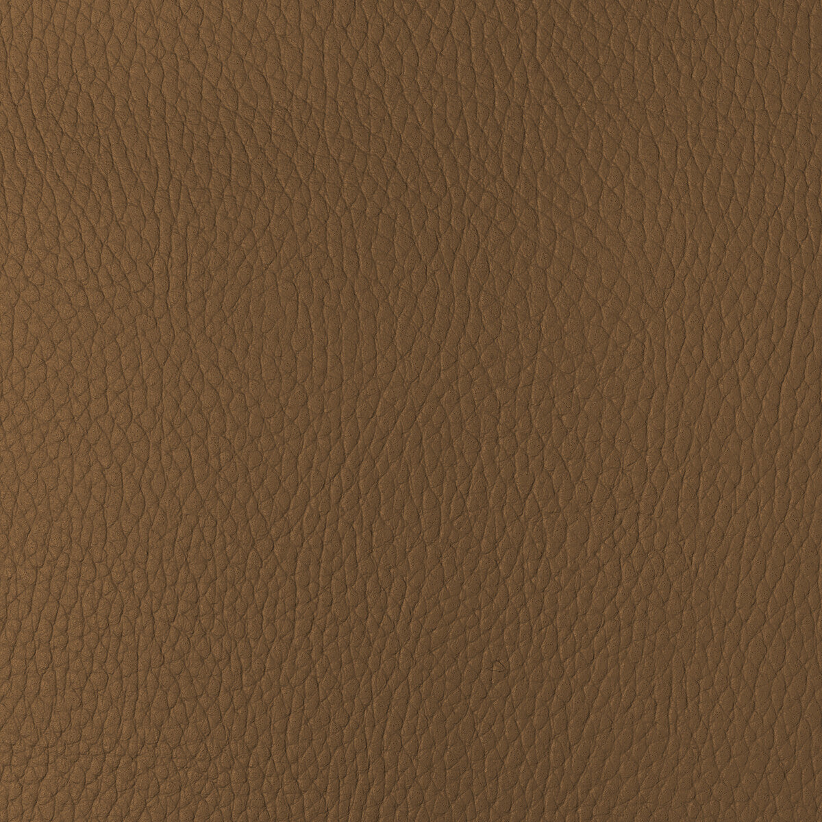 KRAVET DESIGN SUGARMAPLE.4.0 KRAVET DESIGN SUGARMAPLE-4 Fabric - Eade's Wallpaper