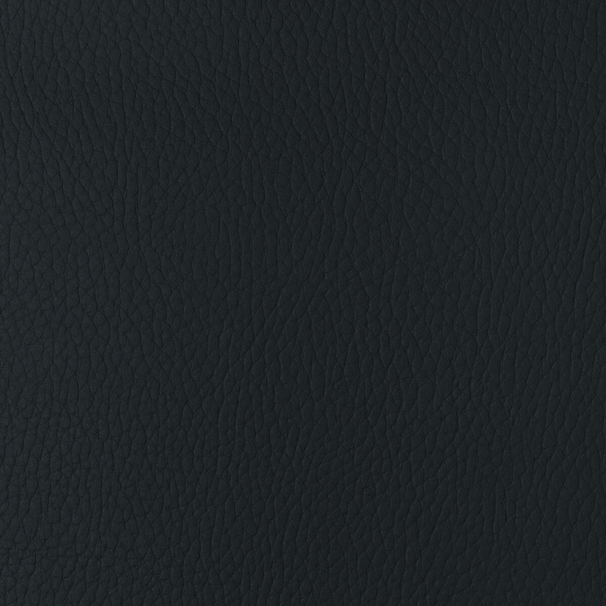 KRAVET DESIGN SUGARMAPLE.50.0 KRAVET DESIGN SUGARMAPLE-50 Fabric - Eade's Wallpaper