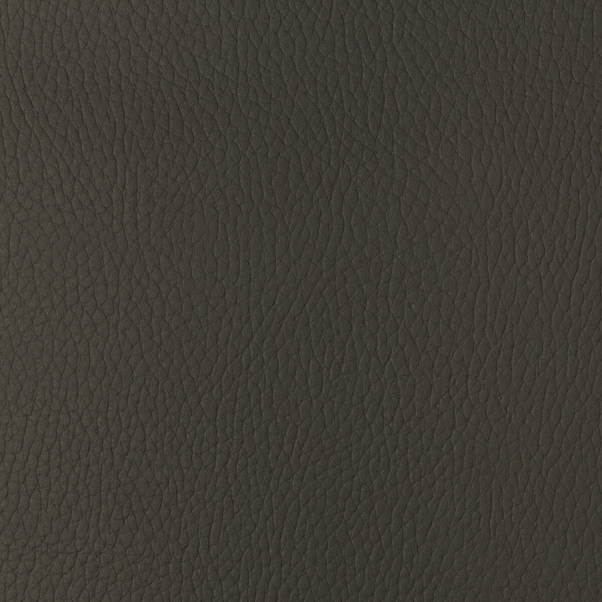 KRAVET DESIGN SUGARMAPLE.6.0 KRAVET DESIGN SUGARMAPLE-6 Fabric - Eade's Wallpaper