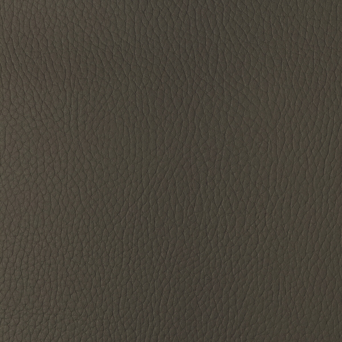 KRAVET DESIGN SUGARMAPLE.616.0 KRAVET DESIGN SUGARMAPLE-616 Fabric - Eade's Wallpaper