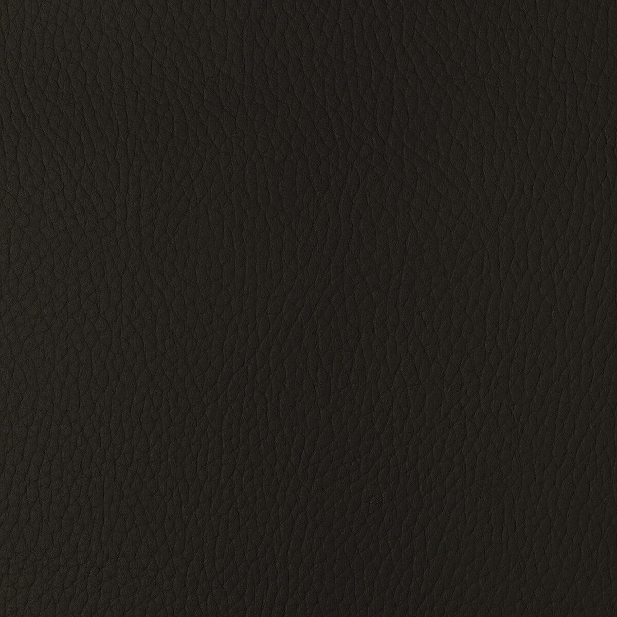 KRAVET DESIGN SUGARMAPLE.66.0 KRAVET DESIGN SUGARMAPLE-66 Fabric - Eade's Wallpaper