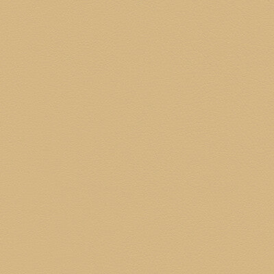KRAVET DESIGN SUMAC.106.0 KRAVET DESIGN SUMAC-106 Fabric - FAUX LEATHER IV