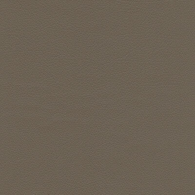 KRAVET DESIGN SUMAC.11.0 KRAVET DESIGN SUMAC-11 Fabric - FAUX LEATHER IV