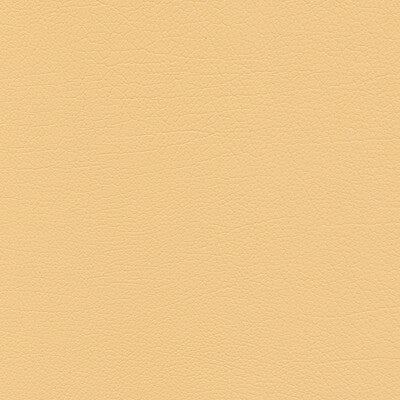 KRAVET DESIGN SUMAC.16.0 KRAVET DESIGN SUMAC-16 Fabric - FAUX LEATHER IV