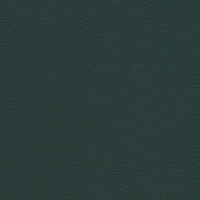 KRAVET DESIGN SUMAC.35.0 KRAVET DESIGN SUMAC-35 Fabric - FAUX LEATHER IV