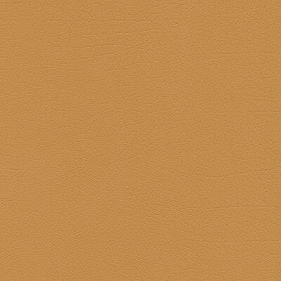 KRAVET DESIGN SUMAC.64.0 KRAVET DESIGN SUMAC-64 Fabric - FAUX LEATHER IV