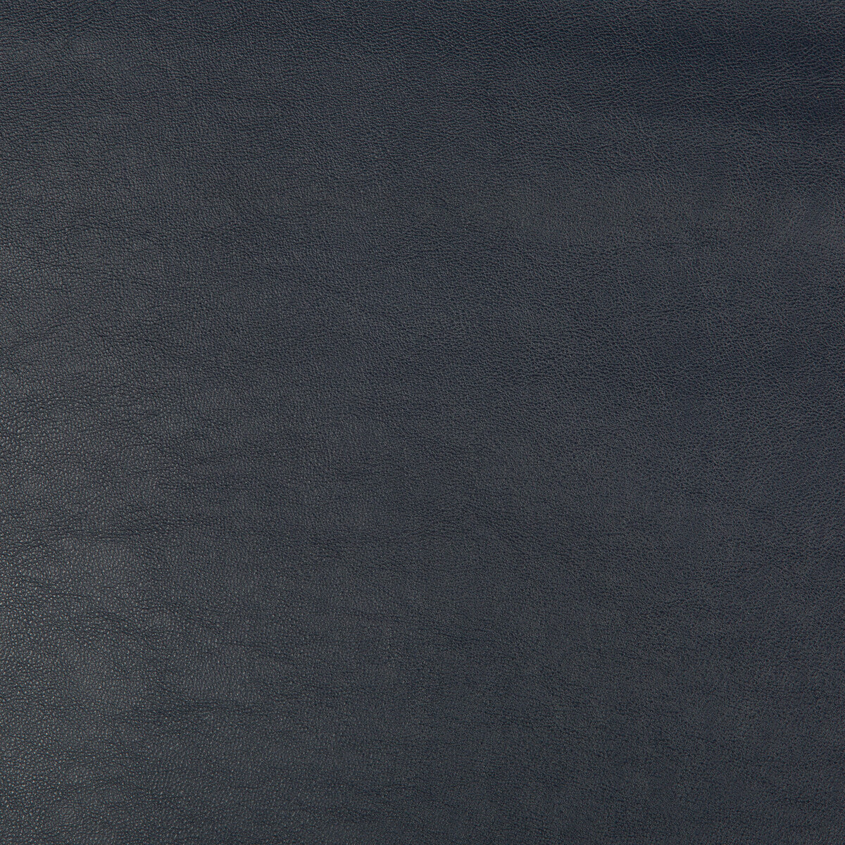 KRAVET DESIGN SWAPS.50.0 KRAVET DESIGN SWAPS-50 Fabric - Eade's Wallpaper