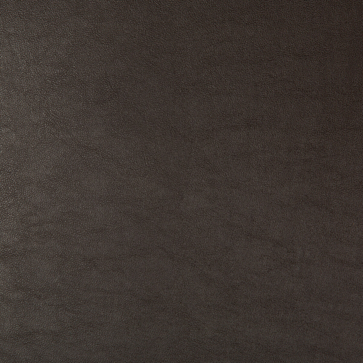 KRAVET DESIGN SWAPS.66.0 KRAVET DESIGN SWAPS-66 Fabric - Eade's Wallpaper