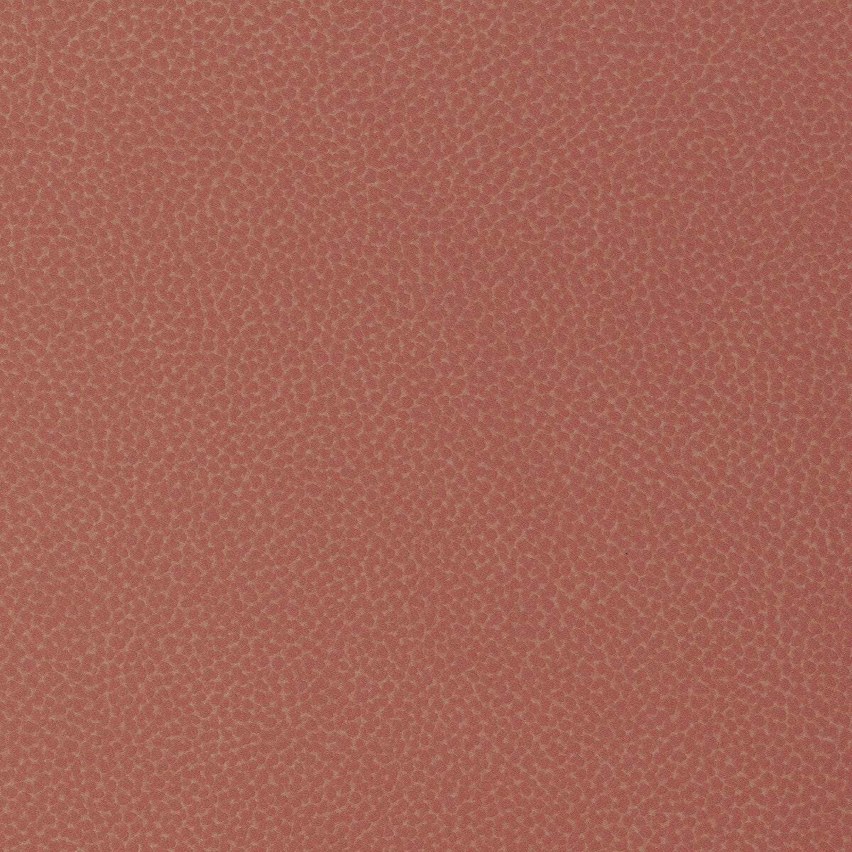 KRAVET DESIGN SWEETGUM.112.0 KRAVET DESIGN SWEETGUM-112 Fabric - Eade's Wallpaper