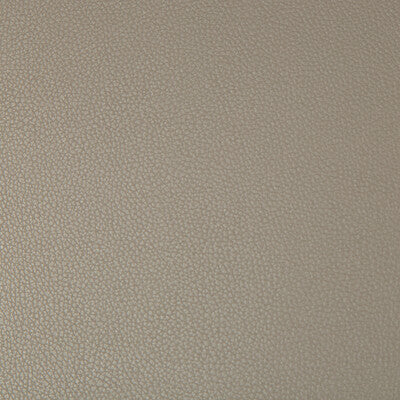 KRAVET CONTRACT SYRUS.106.0 SYRUS DRIFTWOOD Fabric - Eade's Wallpaper