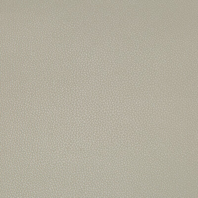 KRAVET CONTRACT SYRUS.1121.0 SYRUS STINGRAY Fabric - Eade's Wallpaper