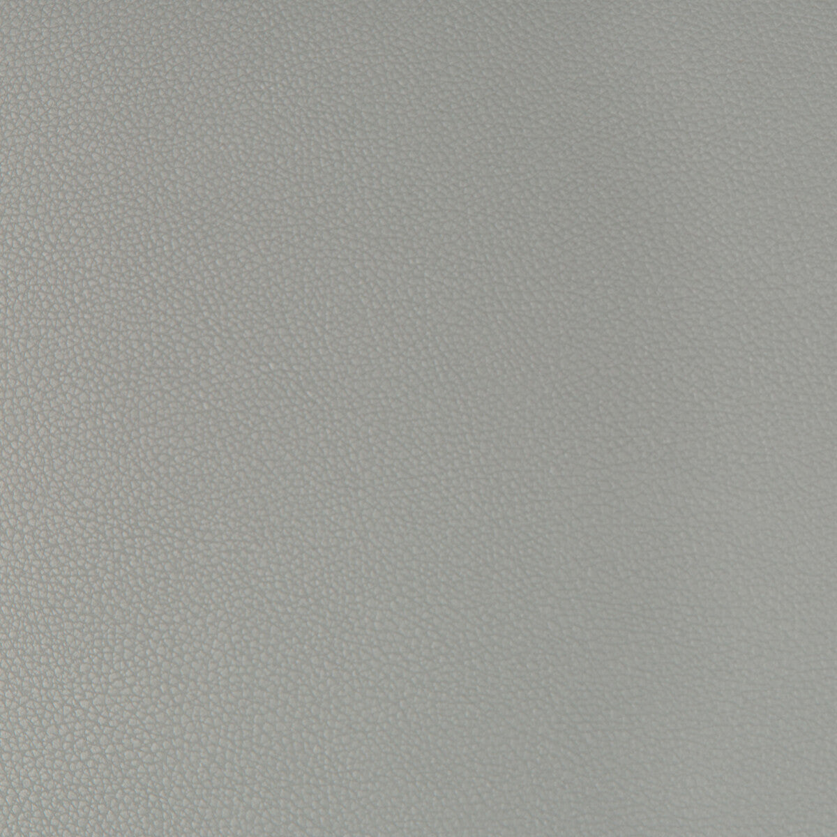 KRAVET CONTRACT SYRUS.21.0 SYRUS NICKEL Fabric - Eade's Wallpaper