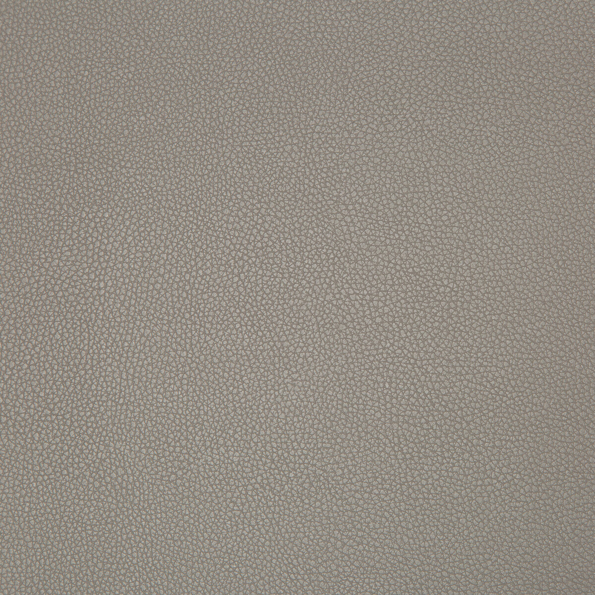 KRAVET CONTRACT SYRUS.2106.0 SYRUS TRUFFLE Fabric - Eade's Wallpaper