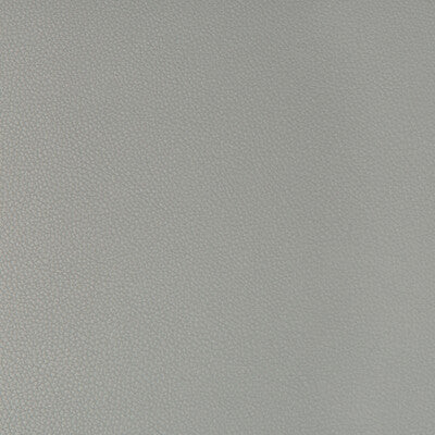 KRAVET CONTRACT SYRUS.21.0 SYRUS NICKEL Fabric - Eade's Wallpaper
