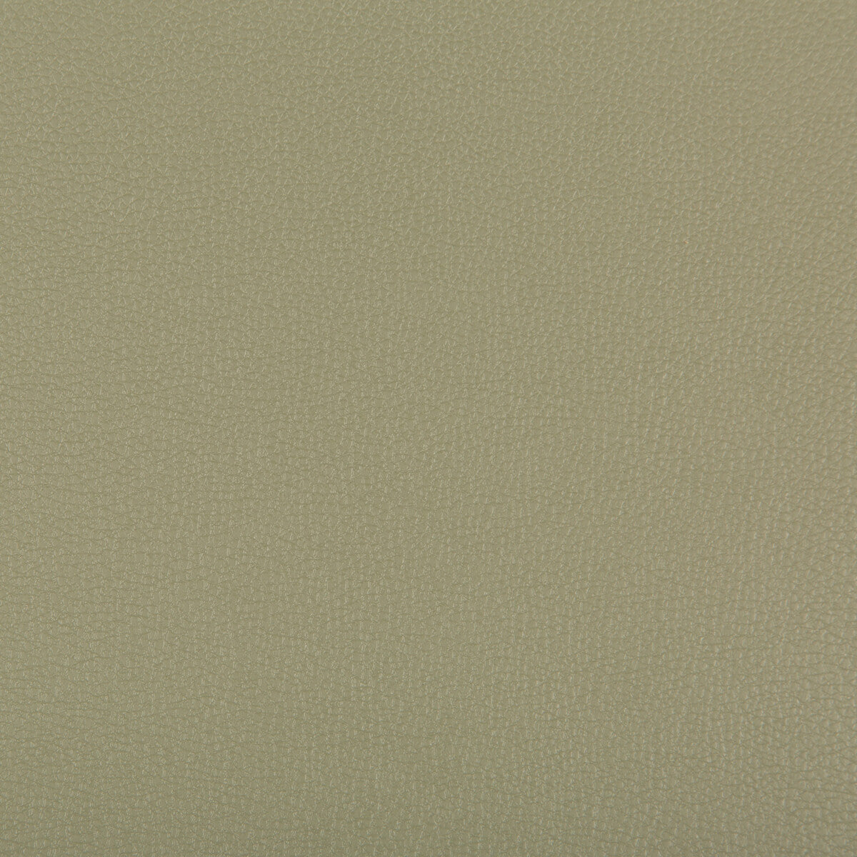 KRAVET CONTRACT SYRUS.311.0 SYRUS SAGE Fabric - Eade's Wallpaper