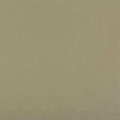 KRAVET CONTRACT SYRUS.311.0 SYRUS SAGE Fabric - Eade's Wallpaper