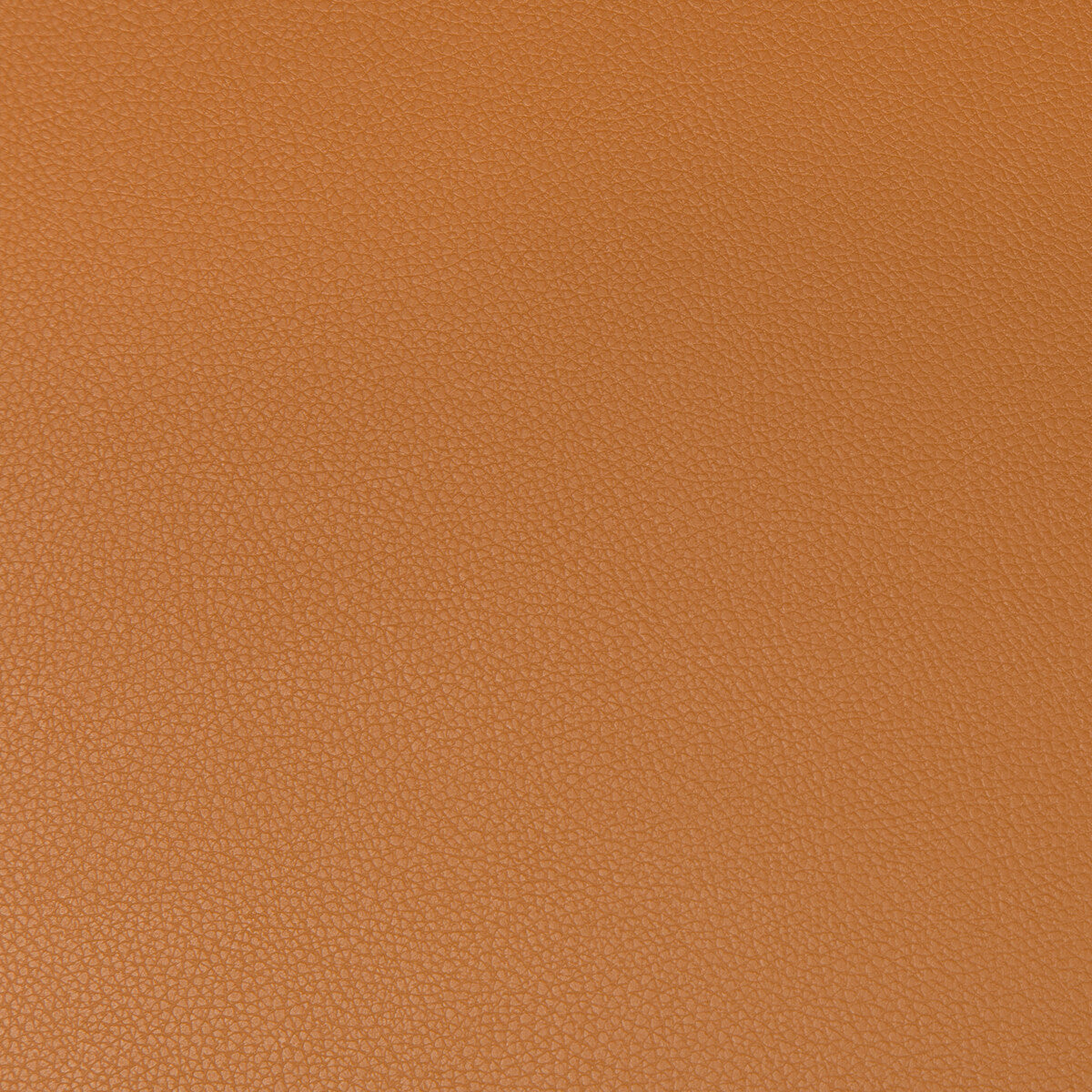 KRAVET CONTRACT SYRUS.46.0 SYRUS COGNAC Fabric - Eade's Wallpaper