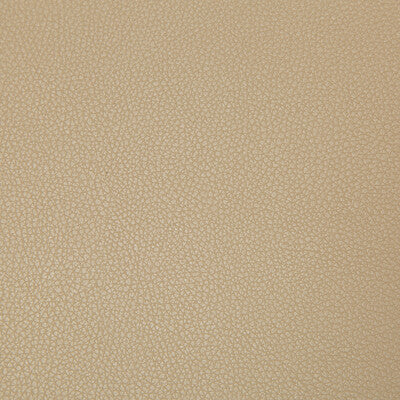 KRAVET CONTRACT SYRUS.61.0 SYRUS QUICKSAND Fabric - Eade's Wallpaper
