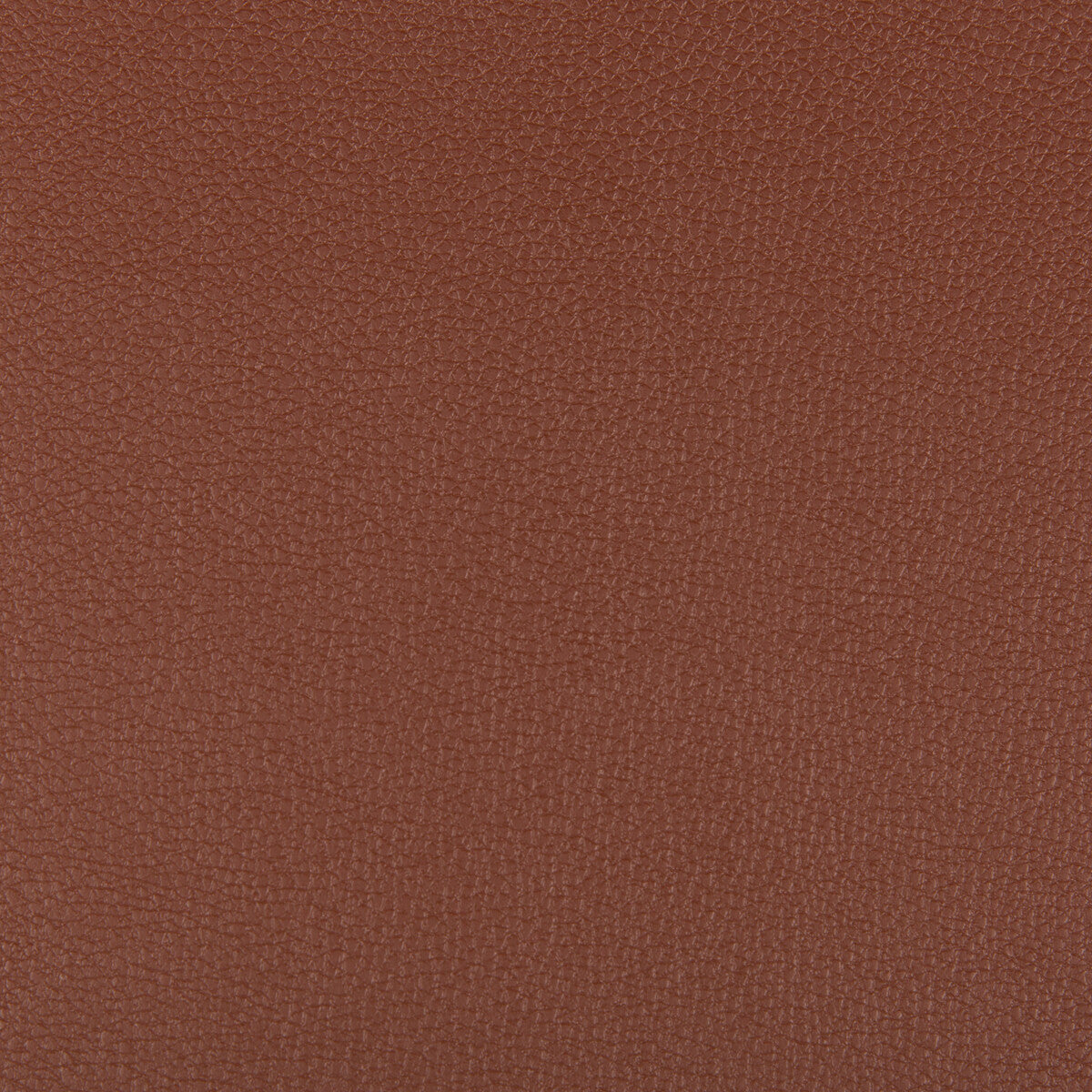 KRAVET CONTRACT SYRUS.624.0 SYRUS ROOTBEER Fabric - Eade's Wallpaper