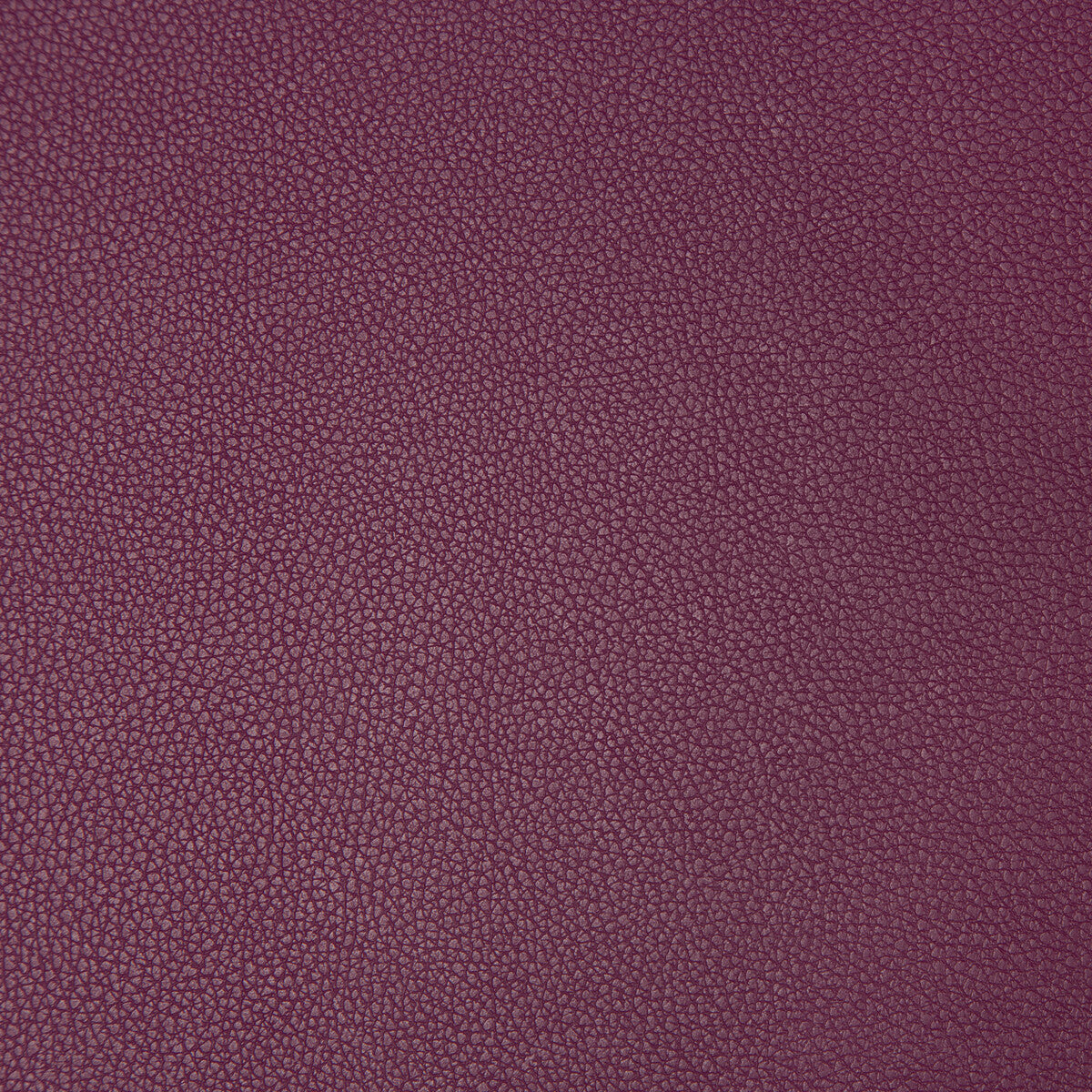 KRAVET CONTRACT SYRUS.910.0 SYRUS MULBERRY Fabric - Eade's Wallpaper