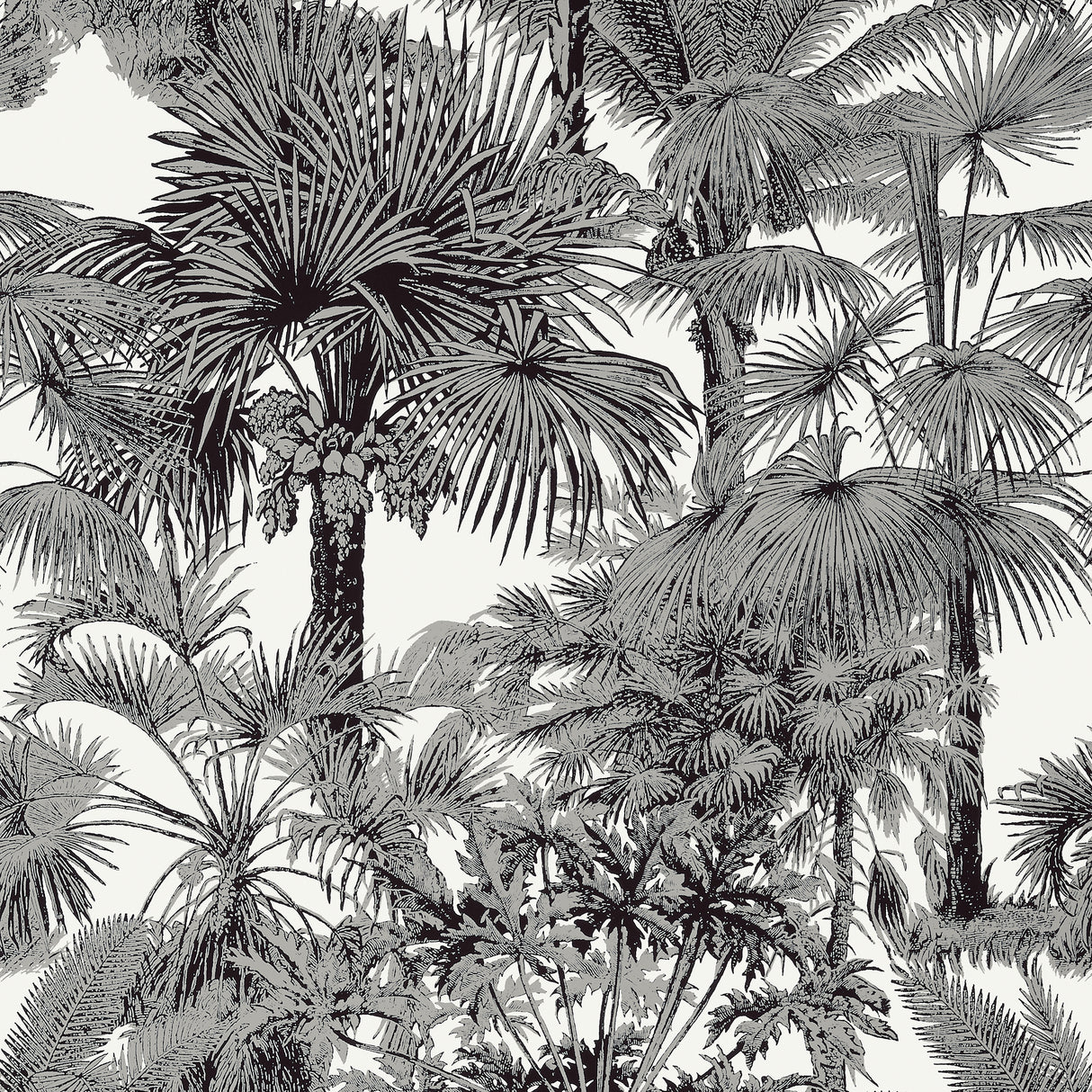 Thibaut T10102 PALM BOTANICAL Black Wallpaper