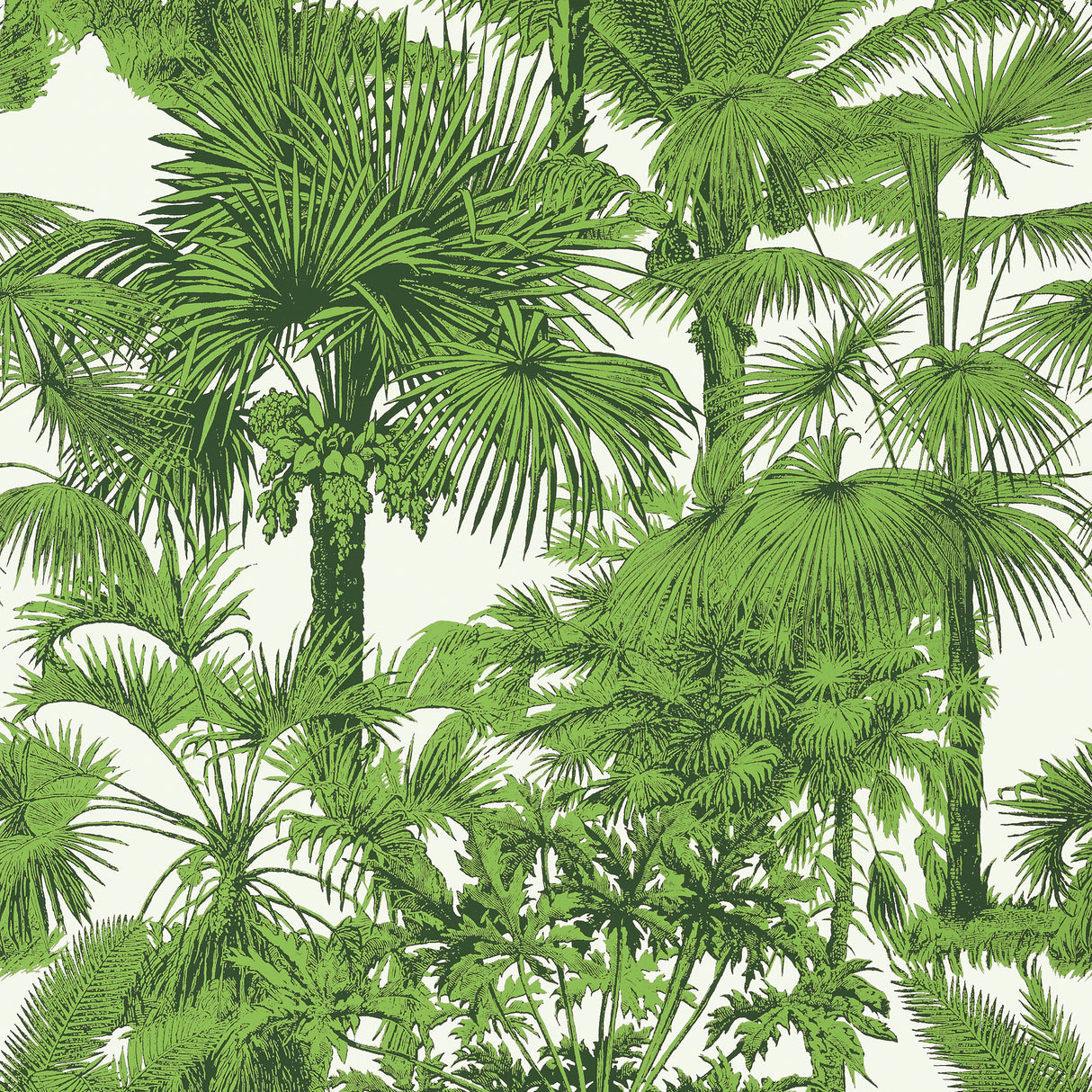 Thibaut T10103 PALM BOTANICAL Emerald Green Wallpaper