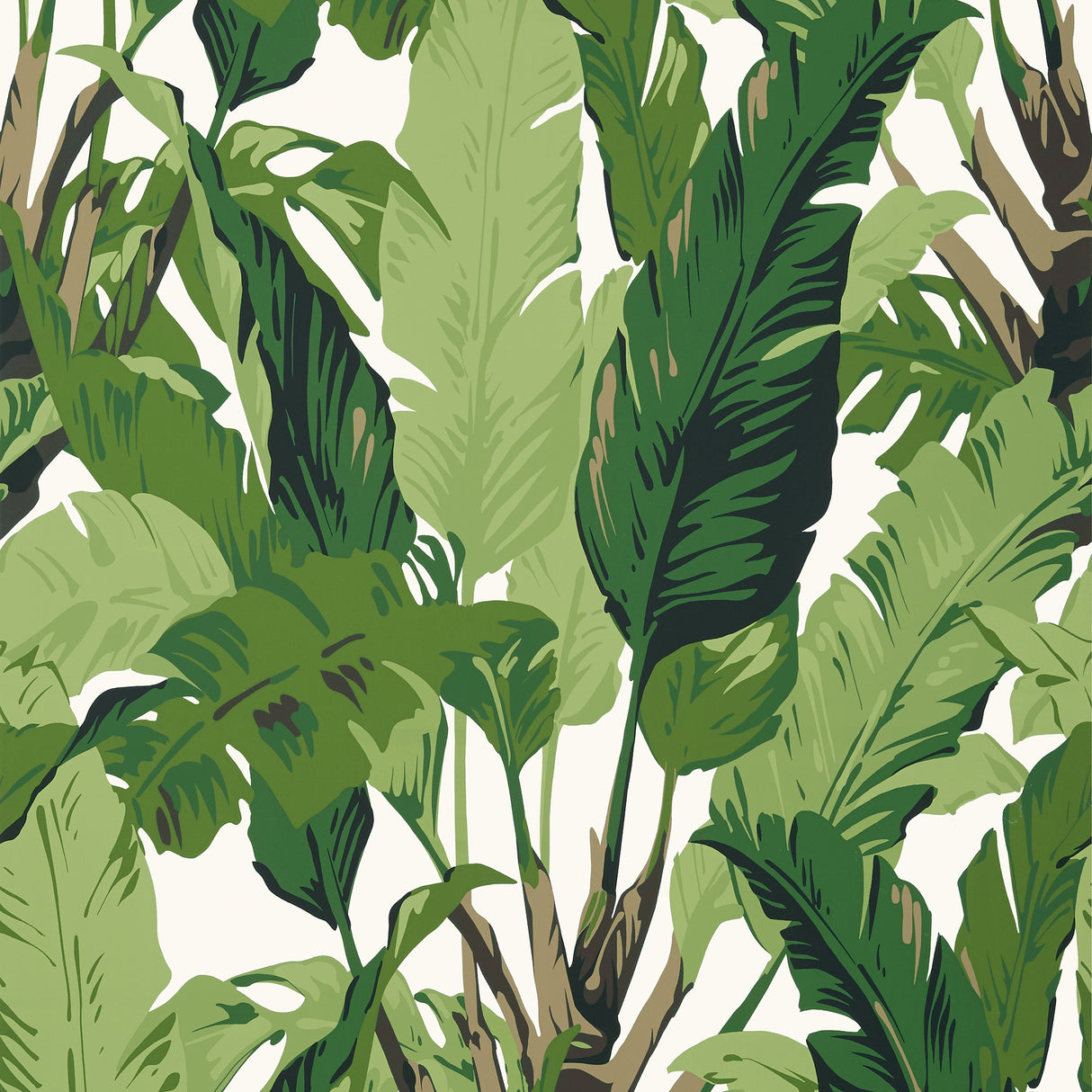 Thibaut T10127 TRAVELERS PALM Green Wallpaper