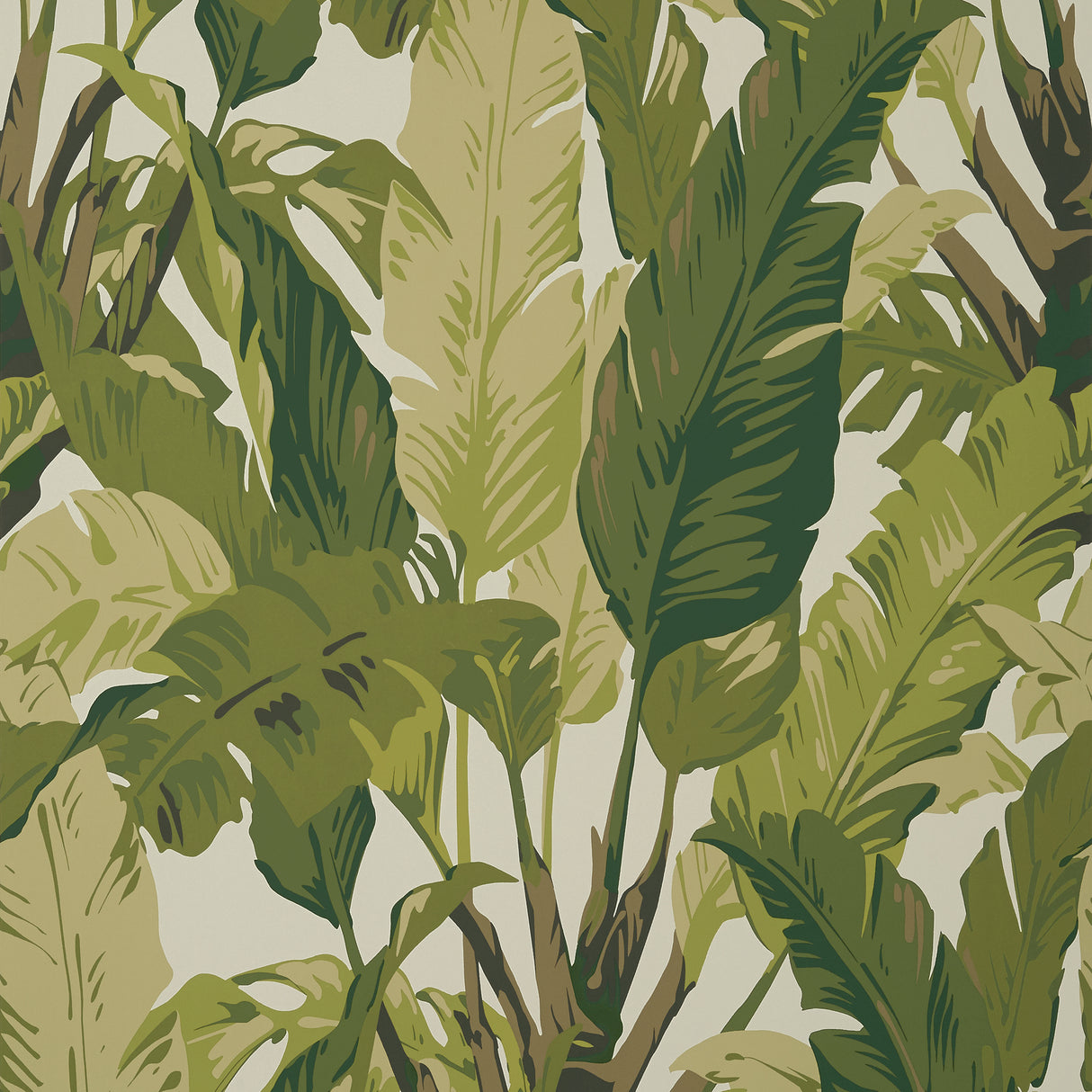 Thibaut T10131 TRAVELERS PALM Sage Wallpaper