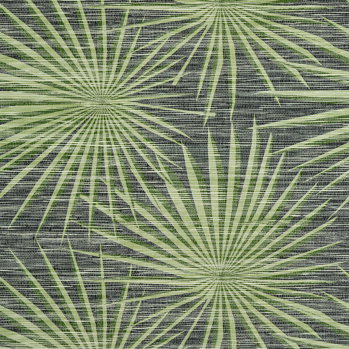 Thibaut T10143 PALM FROND Black and Green Wallpaper