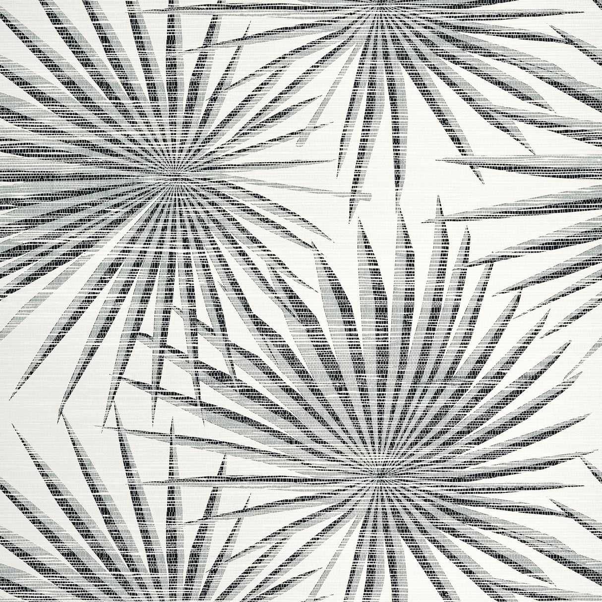 Thibaut T10145 PALM FROND Black and White Wallpaper