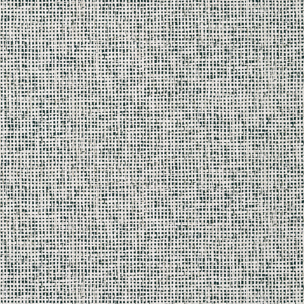 Thibaut T10152 PINELLAS Black Wallpaper