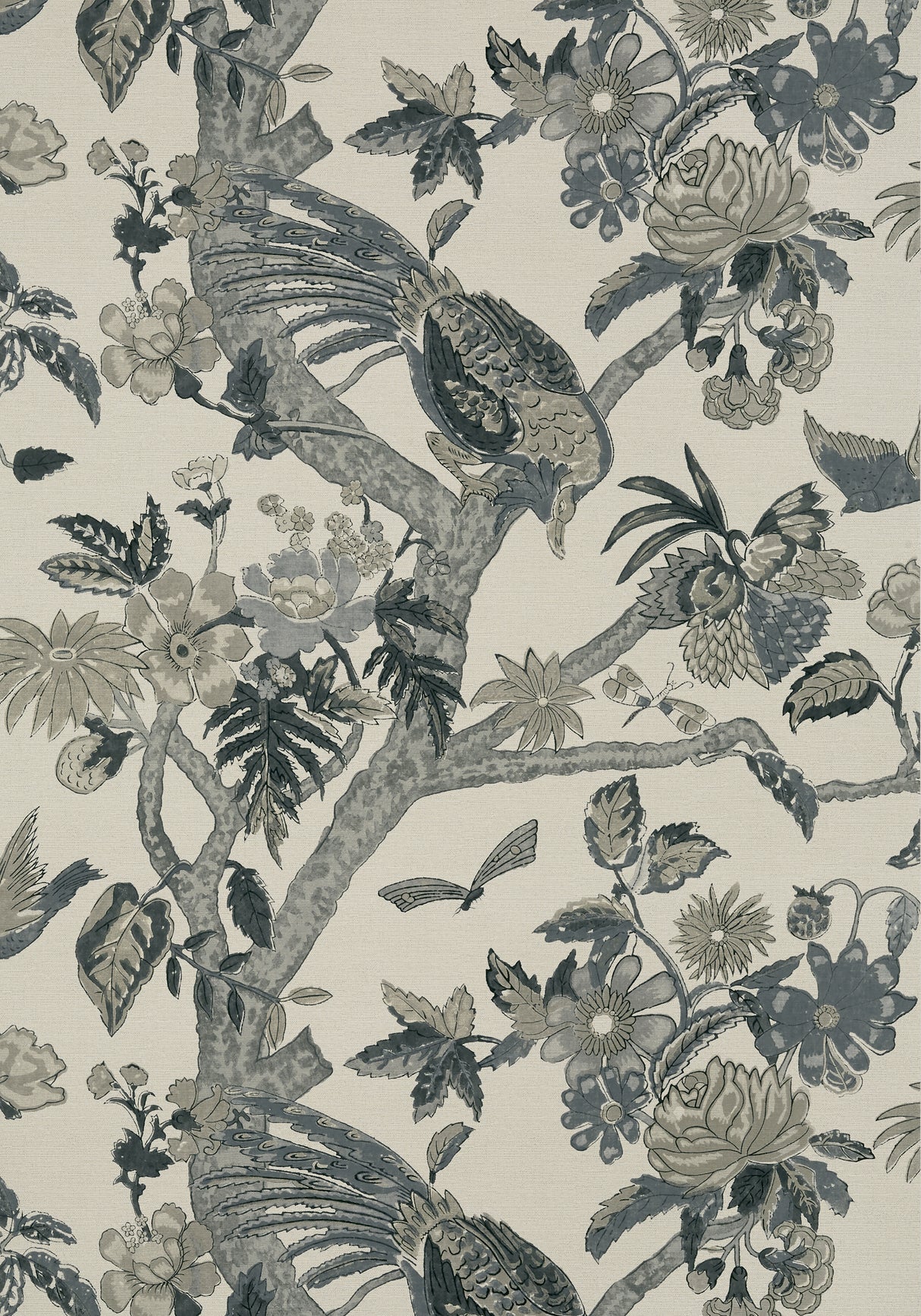 Thibaut T10227 COROMANDEL Grey Wallpaper