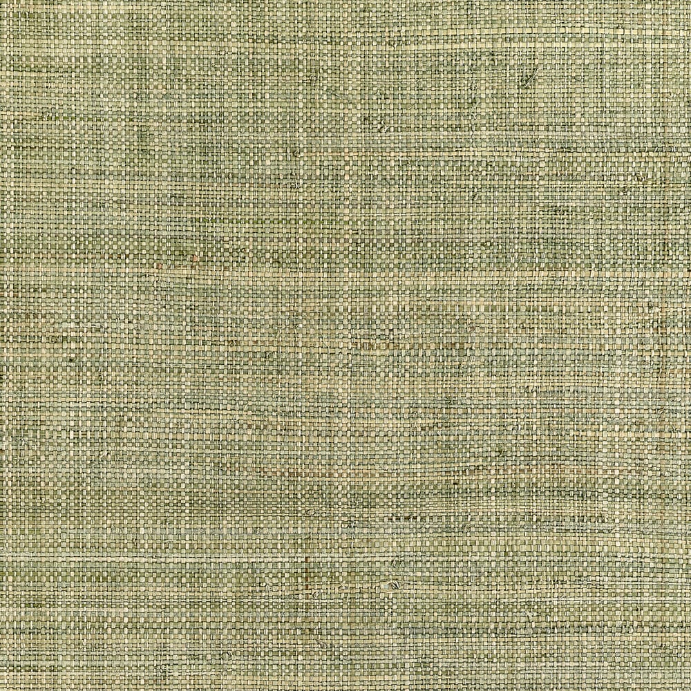 Thibaut MACKINAC T10302 in Sage Wallpaper - GRASSCLOTH RESOU