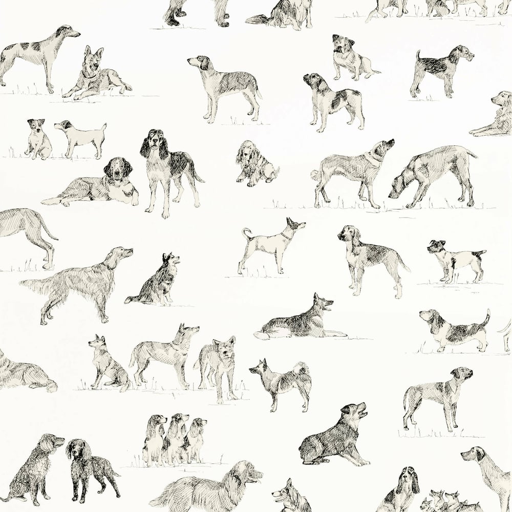 Thibaut T1038 BEST FRIEND Black and White Wallpaper